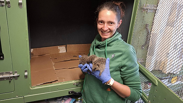 Ve Žďáře začíná fungovat zvířecí záchranka, sběrné místo otevírá stanice Pasíčka