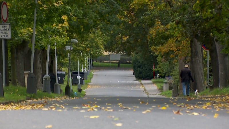 Nebezpečný vrah z léčebny měl být v detenci. Tam by neunikl, myslí si právníci