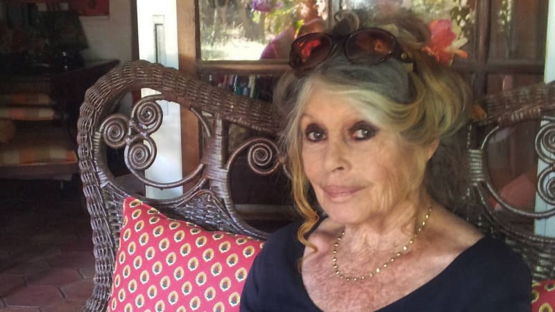 Který imbecil mě pohřbil? Brigitte Bardotová uťala fámy o své smrti. Nehodlám odejít, vzkázala