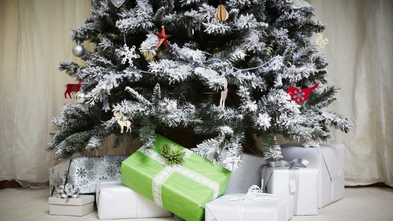 Vyberte nejhezčí vánoční strom České republiky. Který vás letos okouzlil nejvíc?