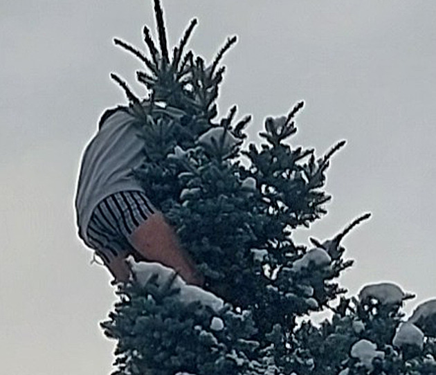 Hasičům dal zabrat. Zdrogovaný muž visel ve spodním prádle na stromě, nechtěl dolů