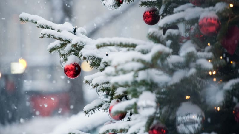 Šance na bílé Vánoce žije. Některé modely ukazují teploty na bodu mrazu, kdy může sněžit?