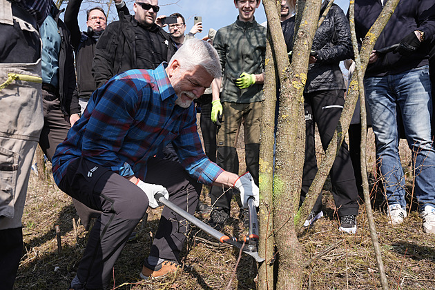 Pavel zkontroloval kasárny, pak si v přírodní rezervaci zkusil odštípnout pár větví