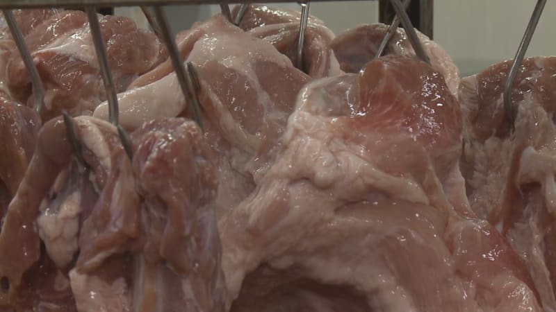 Od porážky přímo na pult: Rodinné řeznictví na Plzeňsku má vlastní chov prasat