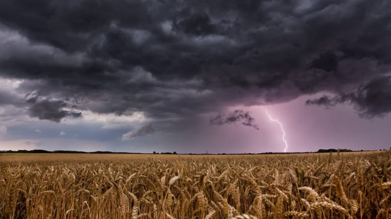 Předpověď na duben: Počasí bude divoké. Čekají nás teplotní skoky i bouřky, tvrdí odborníci