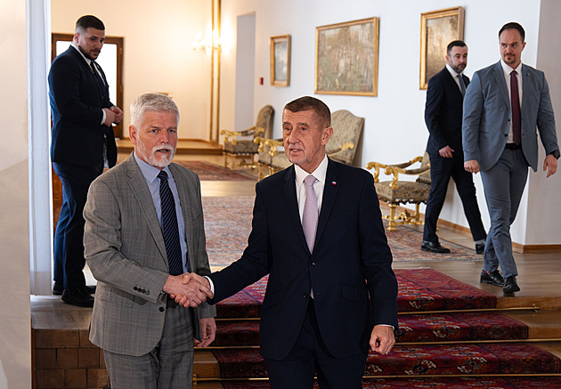 Babiš poví, kdo poletí na summit NATO. Ten, kdo rozhoduje o penězích, říká Juchelka