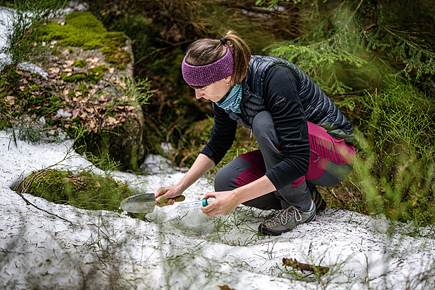 V Krkonoších „kvete“ sníh. Vzácný jev zkoumají vědci, ohrožuje ho změna klimatu