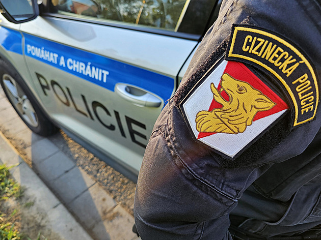 Lapených cizinců s falešnými doklady přibylo. Pas i řidičák seženou za pár tisíc