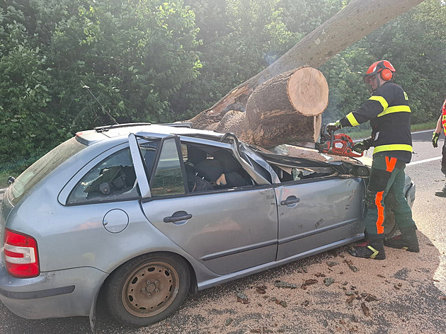 Na Olomoucku spadl mohutný strom na projíždějící auto, řidič je zraněný