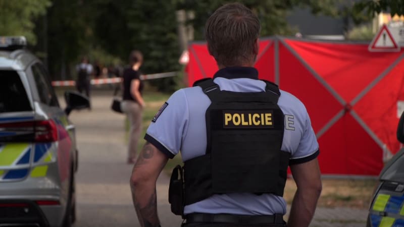 Posun v případu vraždy na cyklostezce v Budějovicích: Policie viní ženina partnera. Řekla motiv